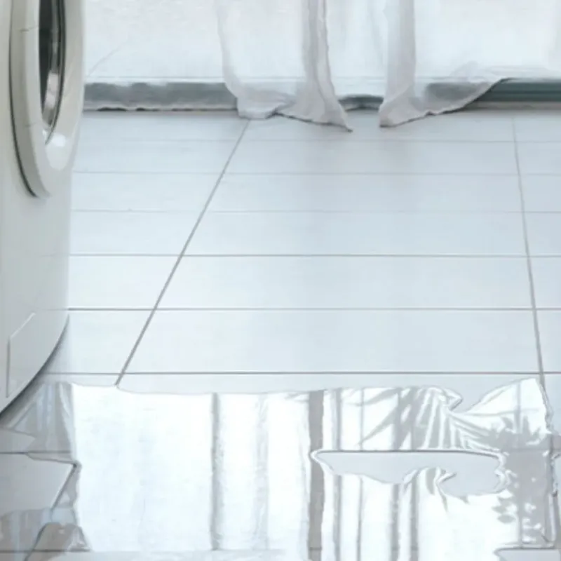 Appliance Leak Cleanup in La Crosse, KS