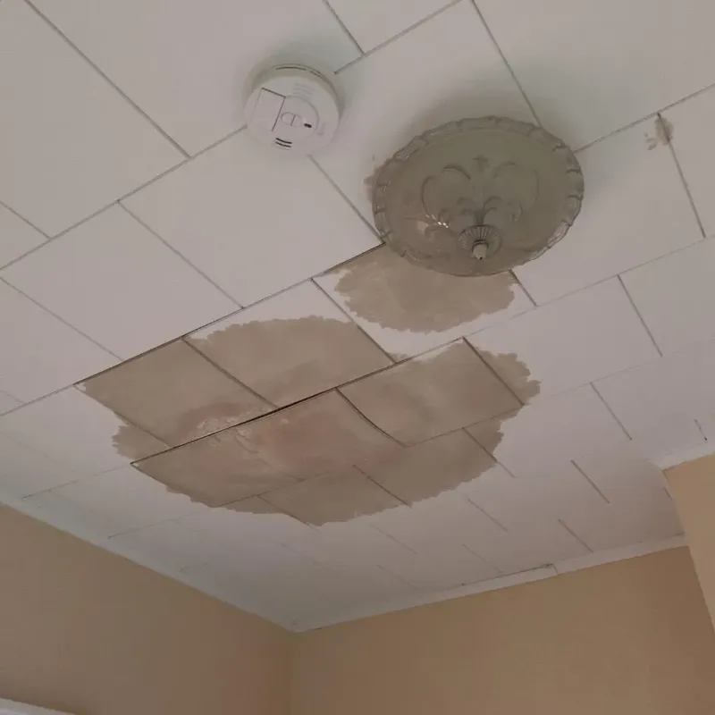 Ceiling Water Damage Repair in La Crosse, KS