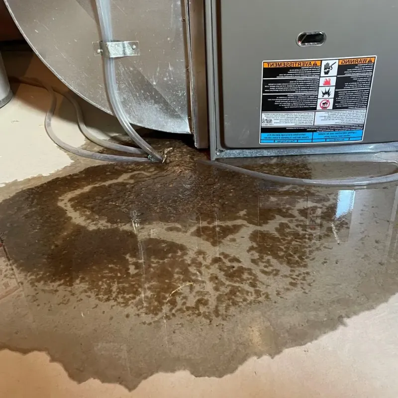 Pipe Burst and Leak Restoration in La Crosse, KS