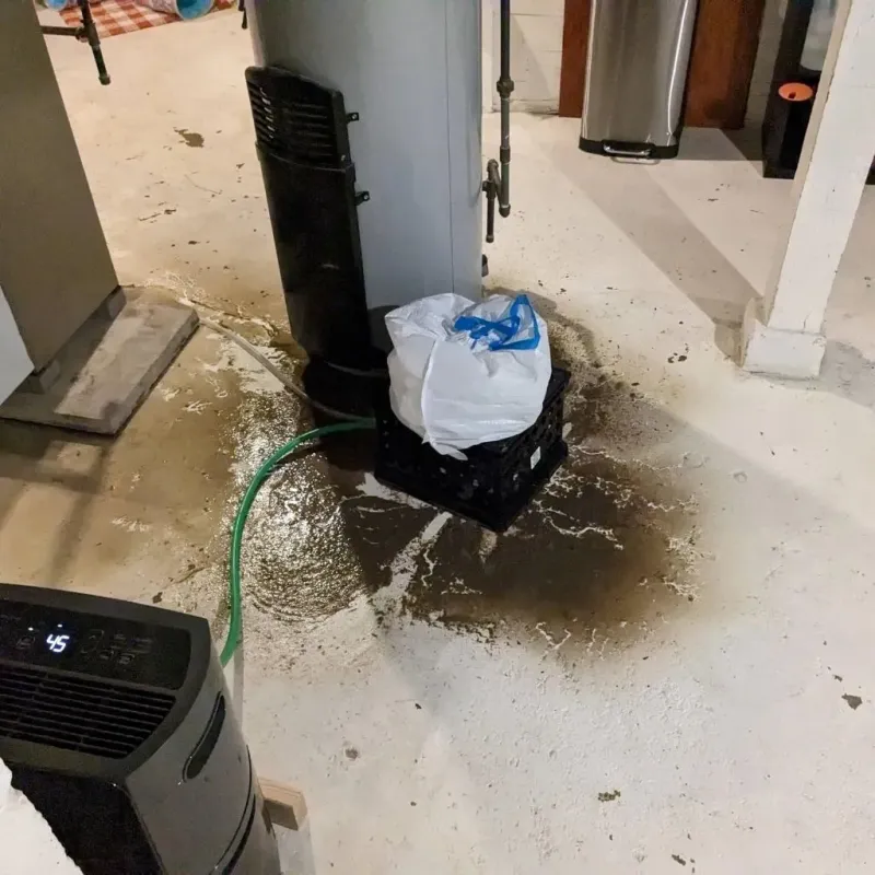 Sewage Backup Cleanup Service in La Crosse, KS
